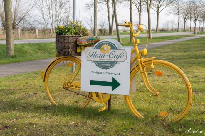 fahrrad-fehmarn-gelb-ostsee