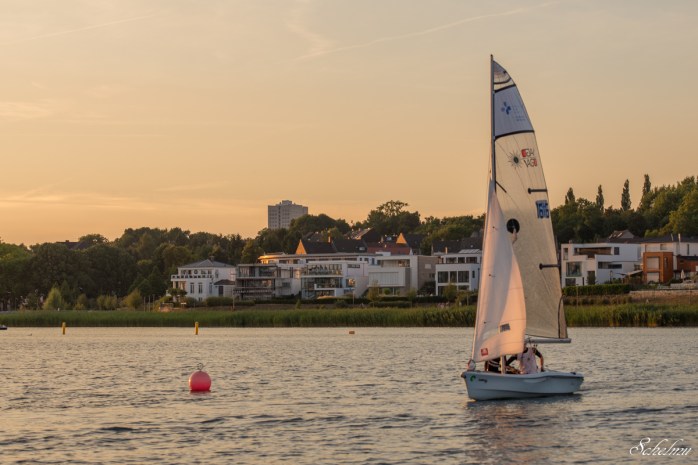 Segler segeln Phönixsee Dortmund See
