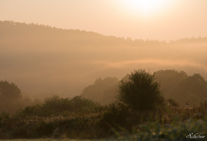 user118664_pic511557_1473666281