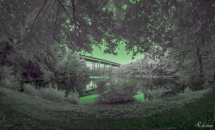 landeskroner-weiher-wilnsdorf-siegerland-wood-effekt-ir-infrarot-grun