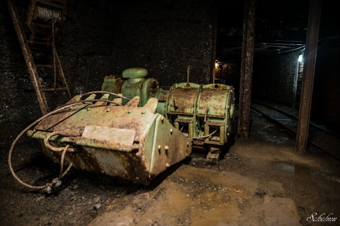 grube bindweide steinebach 10