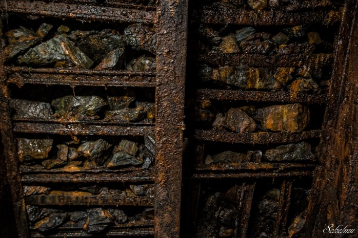 grube bindweide steinebach 11