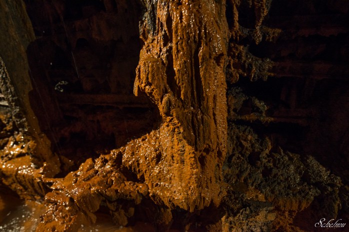 grube bindweide steinebach 13