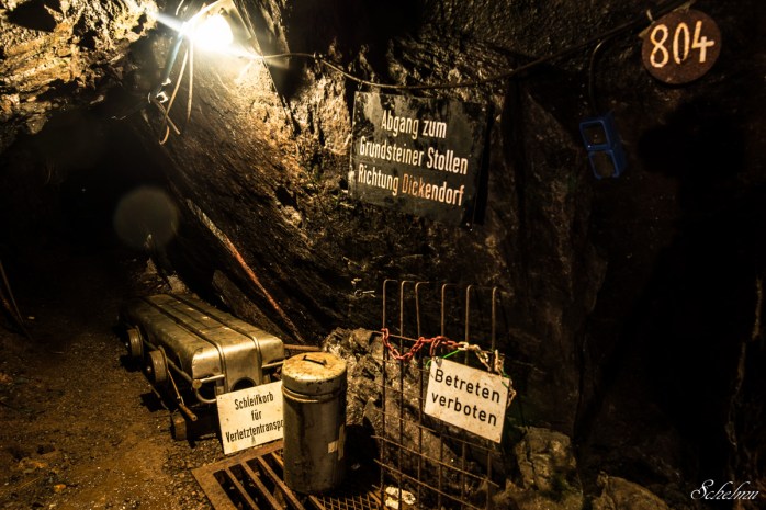 grube bindweide steinebach 15