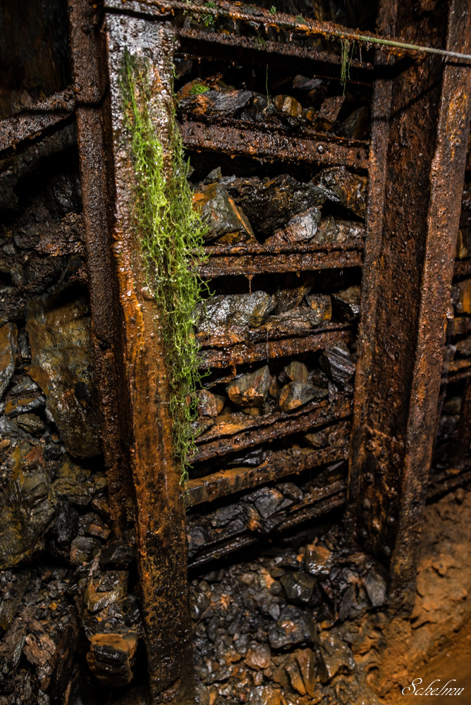 grube bindweide steinebach 19