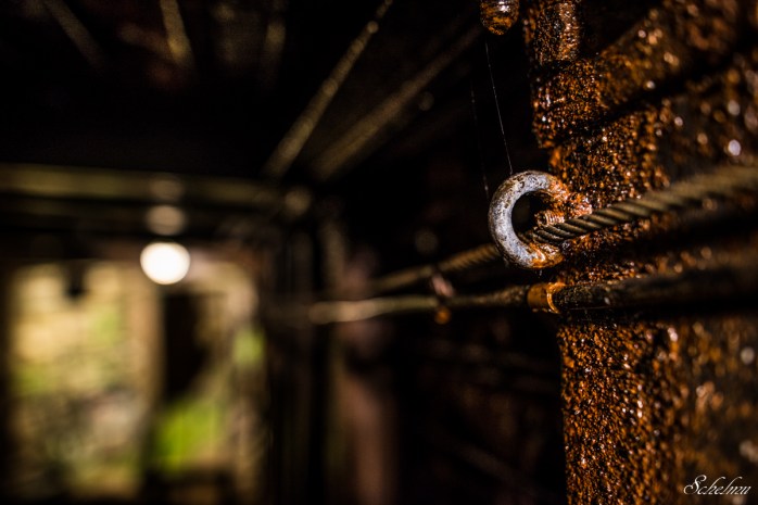 grube bindweide steinebach 2