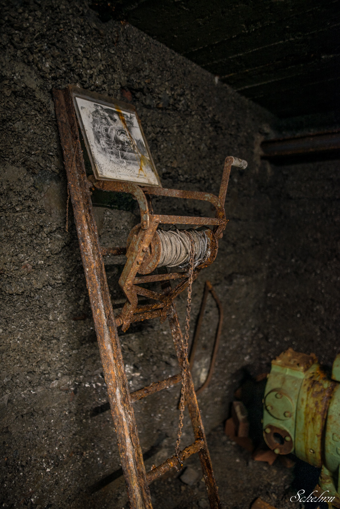 grube bindweide steinebach 21