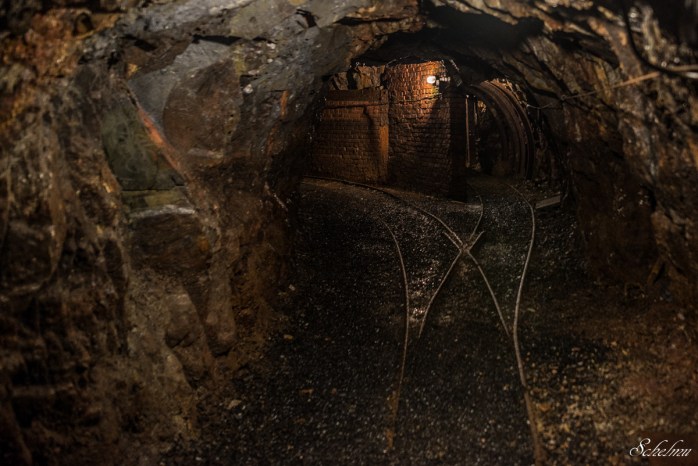 grube bindweide steinebach 3