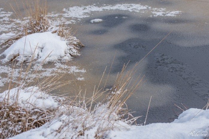 pietzmoor winter lüneburger heide 11