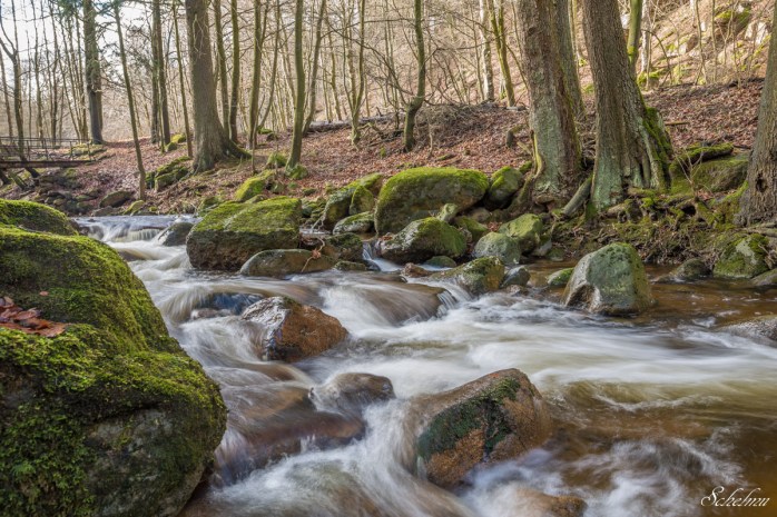 ilsetal ilse harz bach