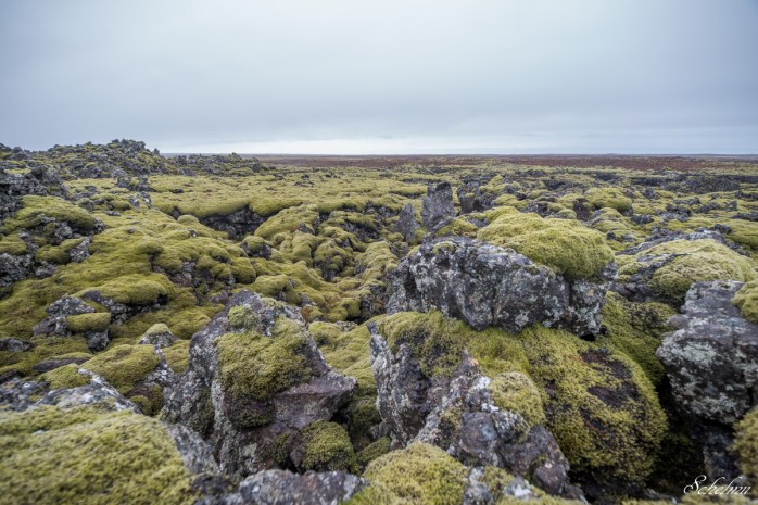 island vulkangestein landschaft