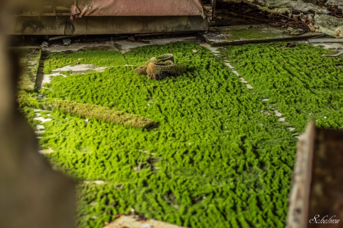 jupiter fabrik pripjat moos schuh