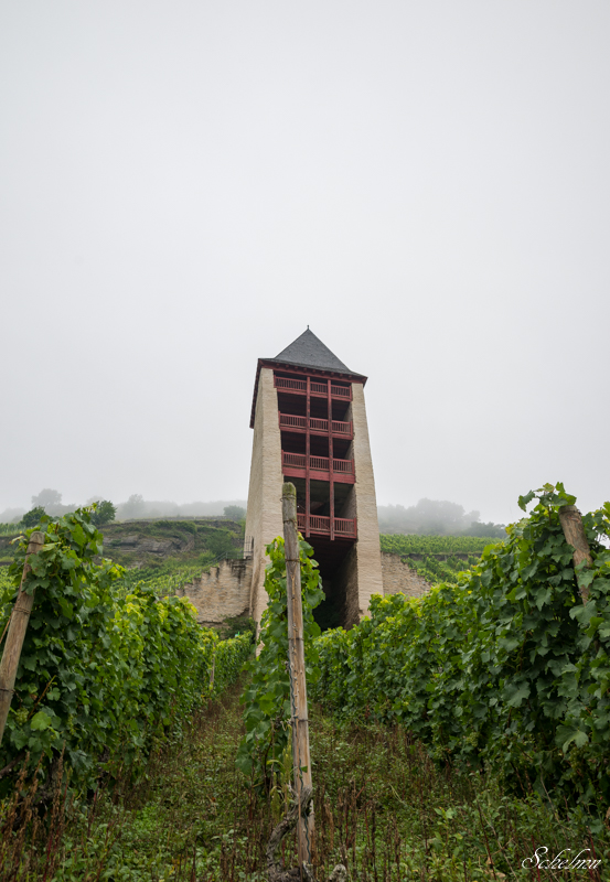 bacharach postenturm nebel weinberg